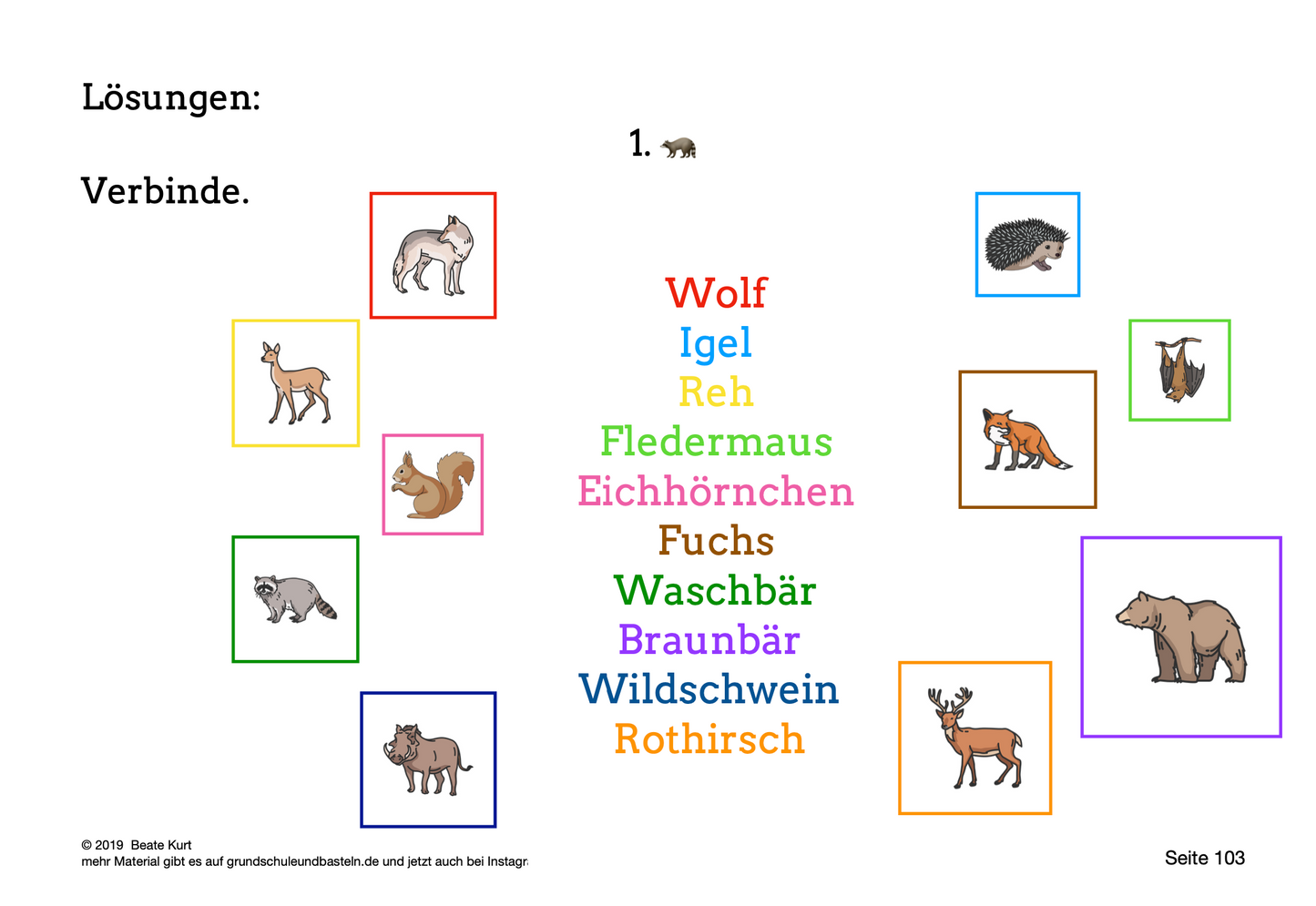 Adventsgeschichte: Drei Waschbären finden Freunde