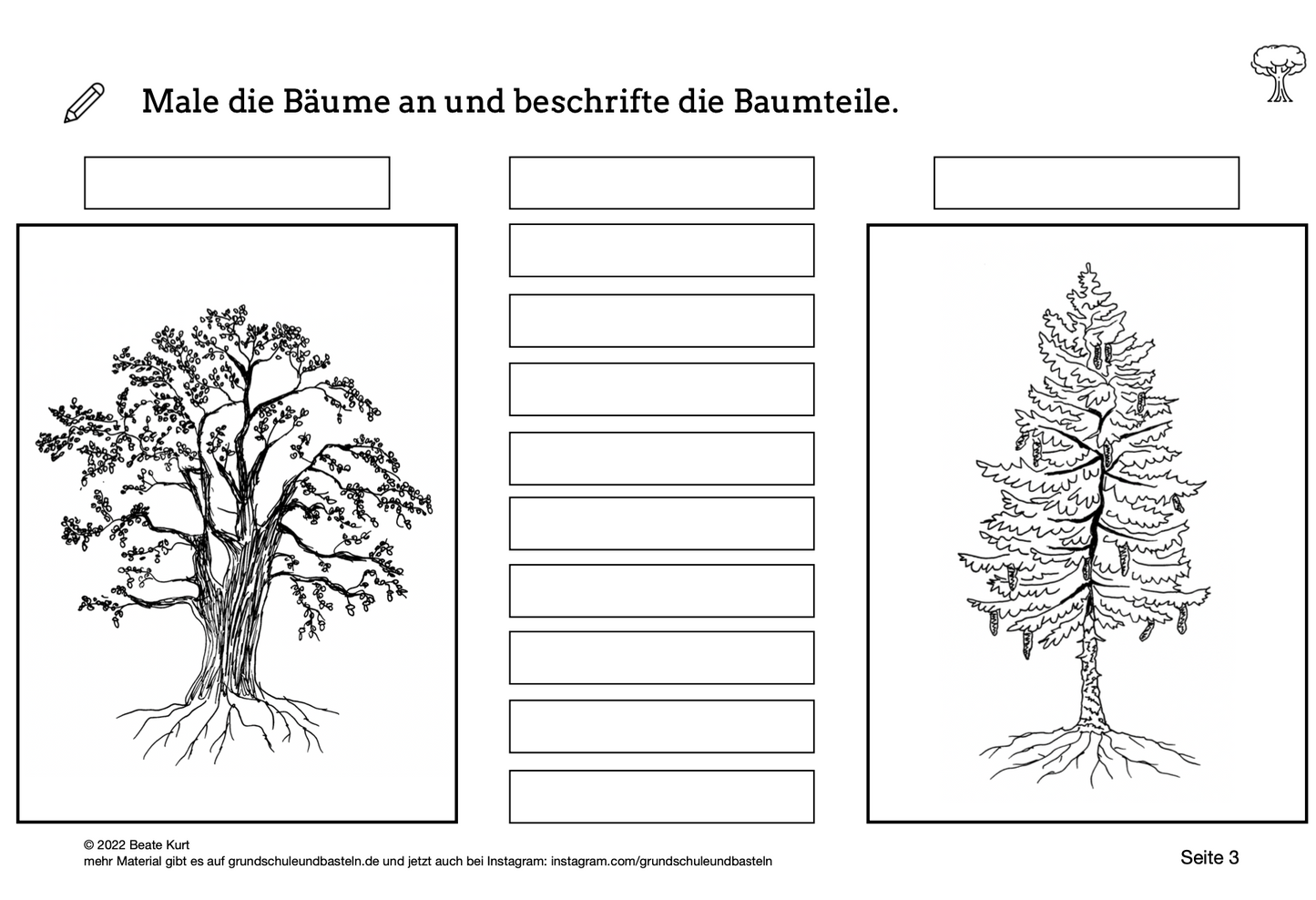 Lernheft: Laub– und Nadelbäume