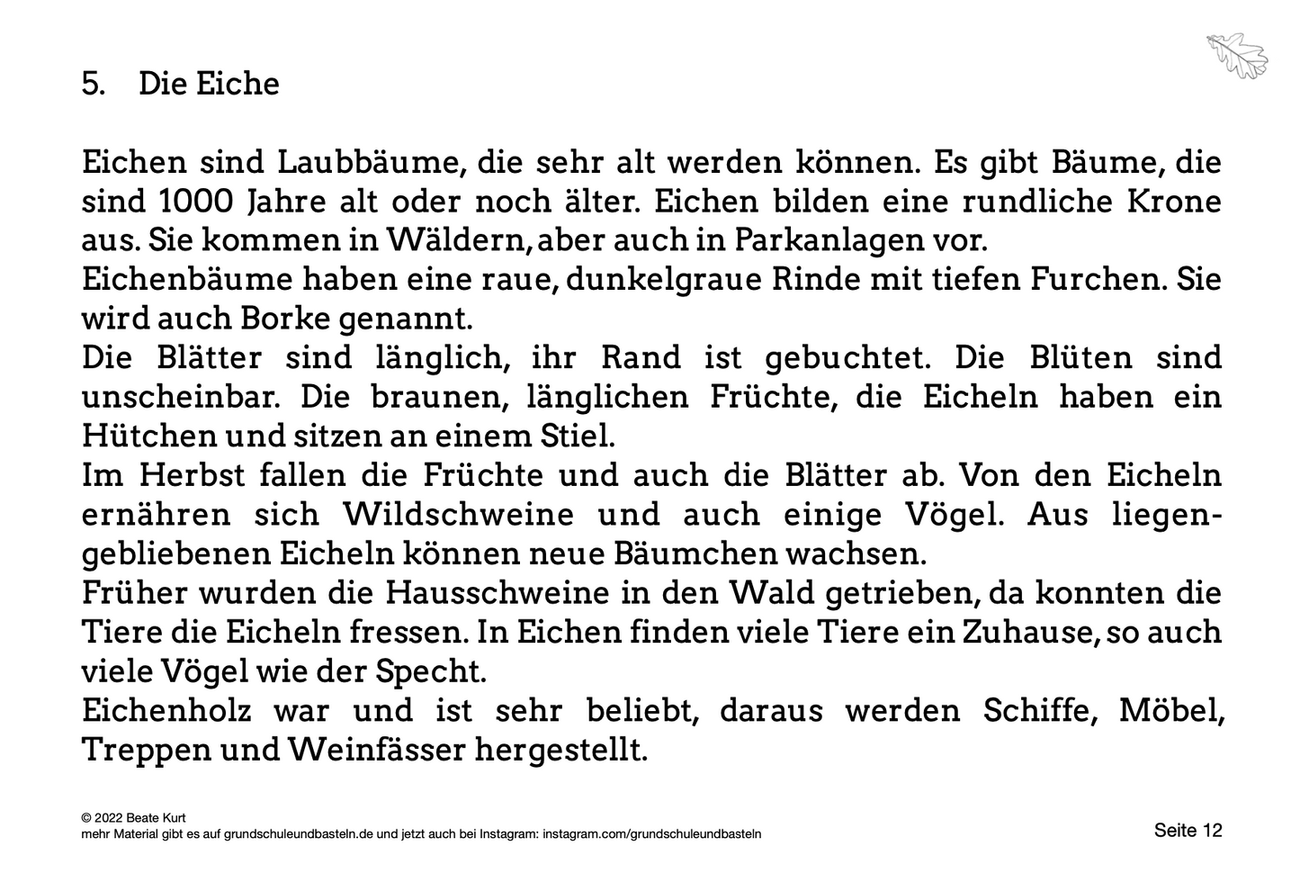 Lernheft: Laub– und Nadelbäume