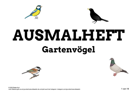 Ausmalheft: Gartenvögel