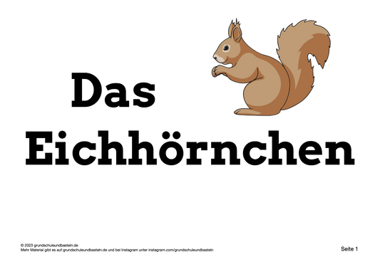 Lernheft: Das Eichhörnchen