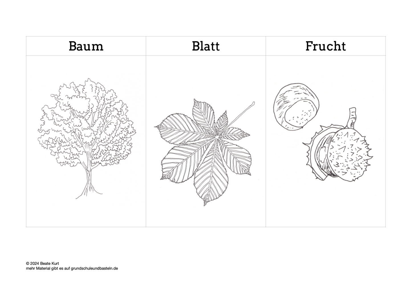 Lernheft: Mein Baumheft