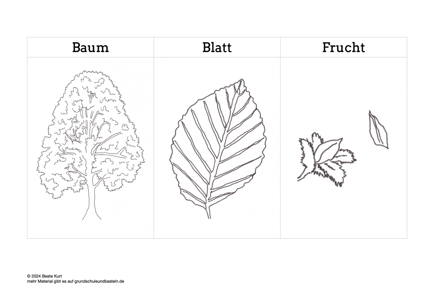 Lernheft: Mein Baumheft