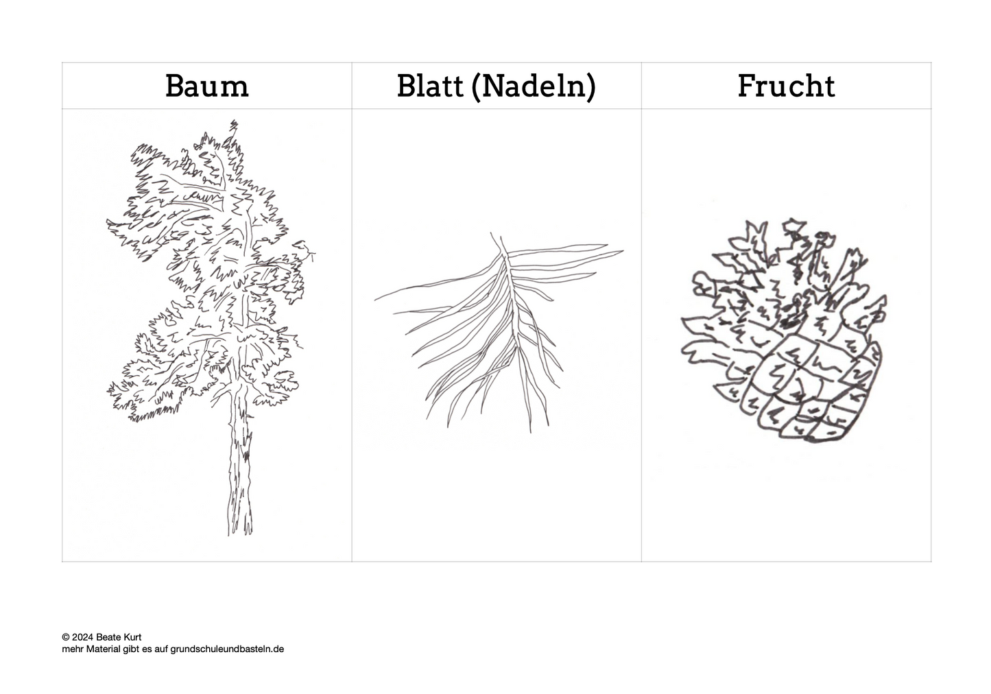 Lernheft: Mein Baumheft