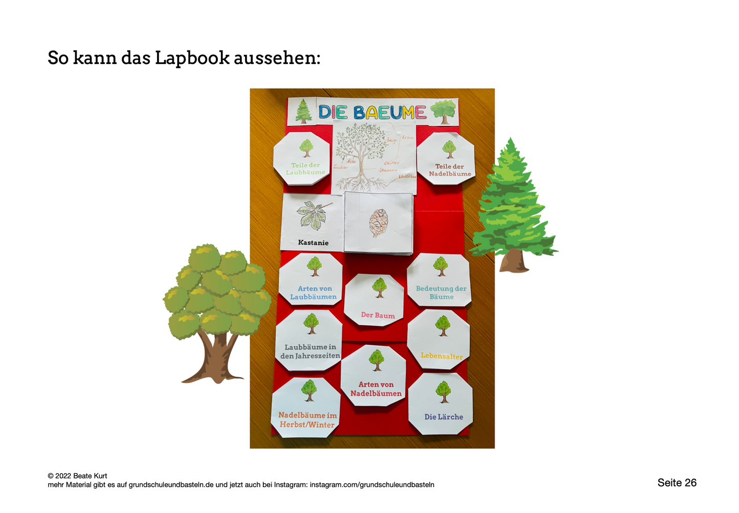 Lapbook: Bäume