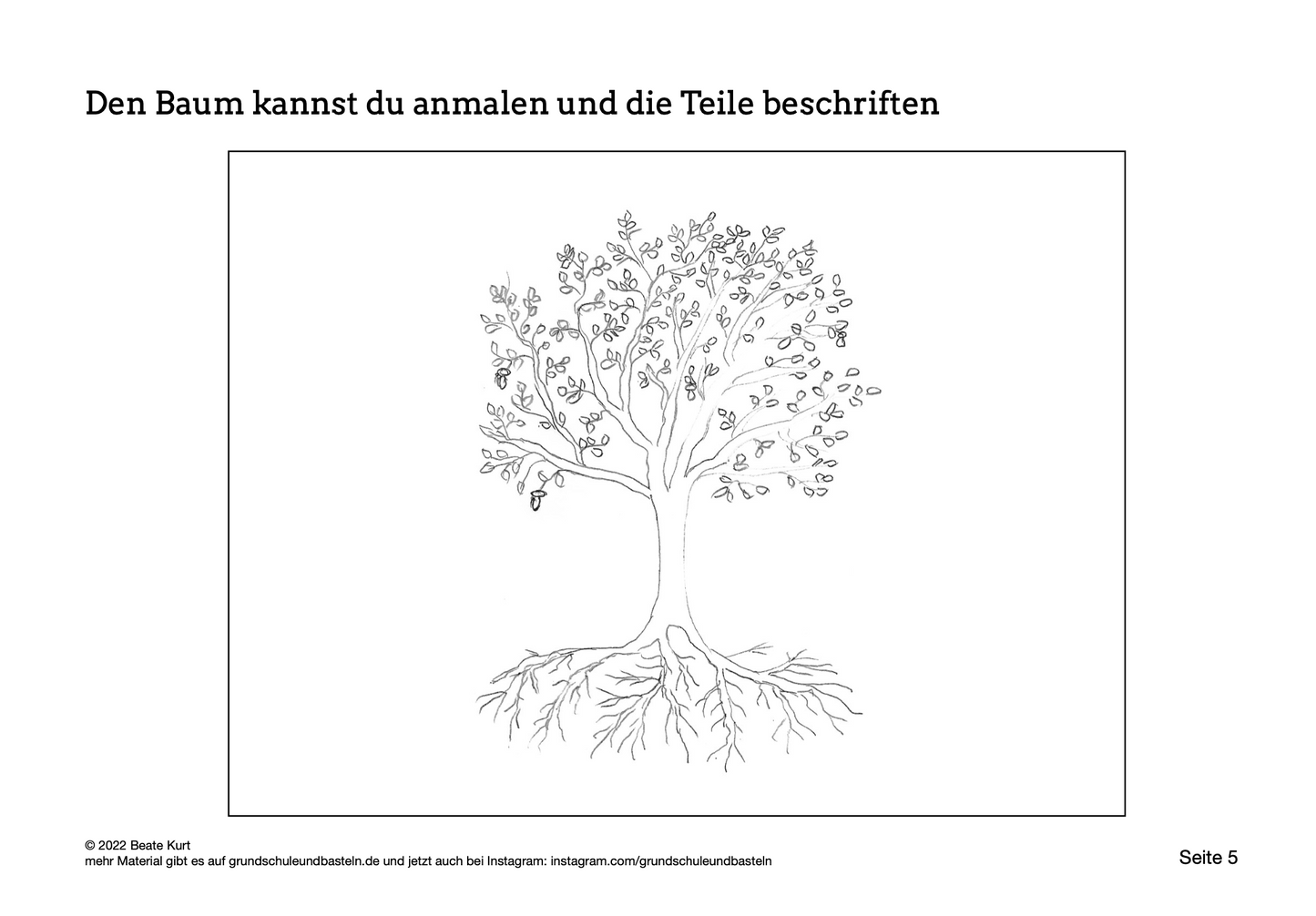 Lapbook: Bäume