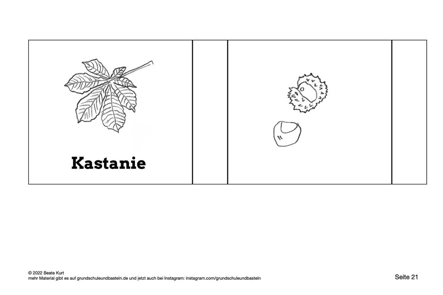 Lapbook: Bäume