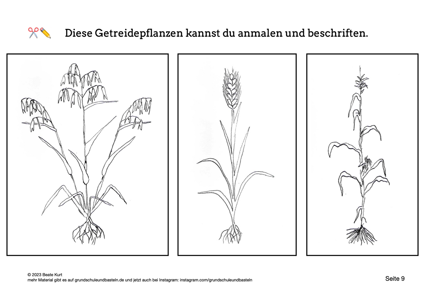 Lapbook: Getreide