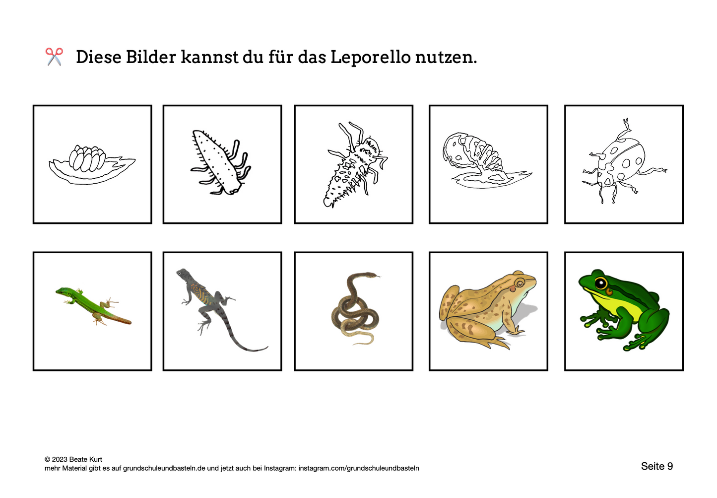 Lapbook: Marienkäfer