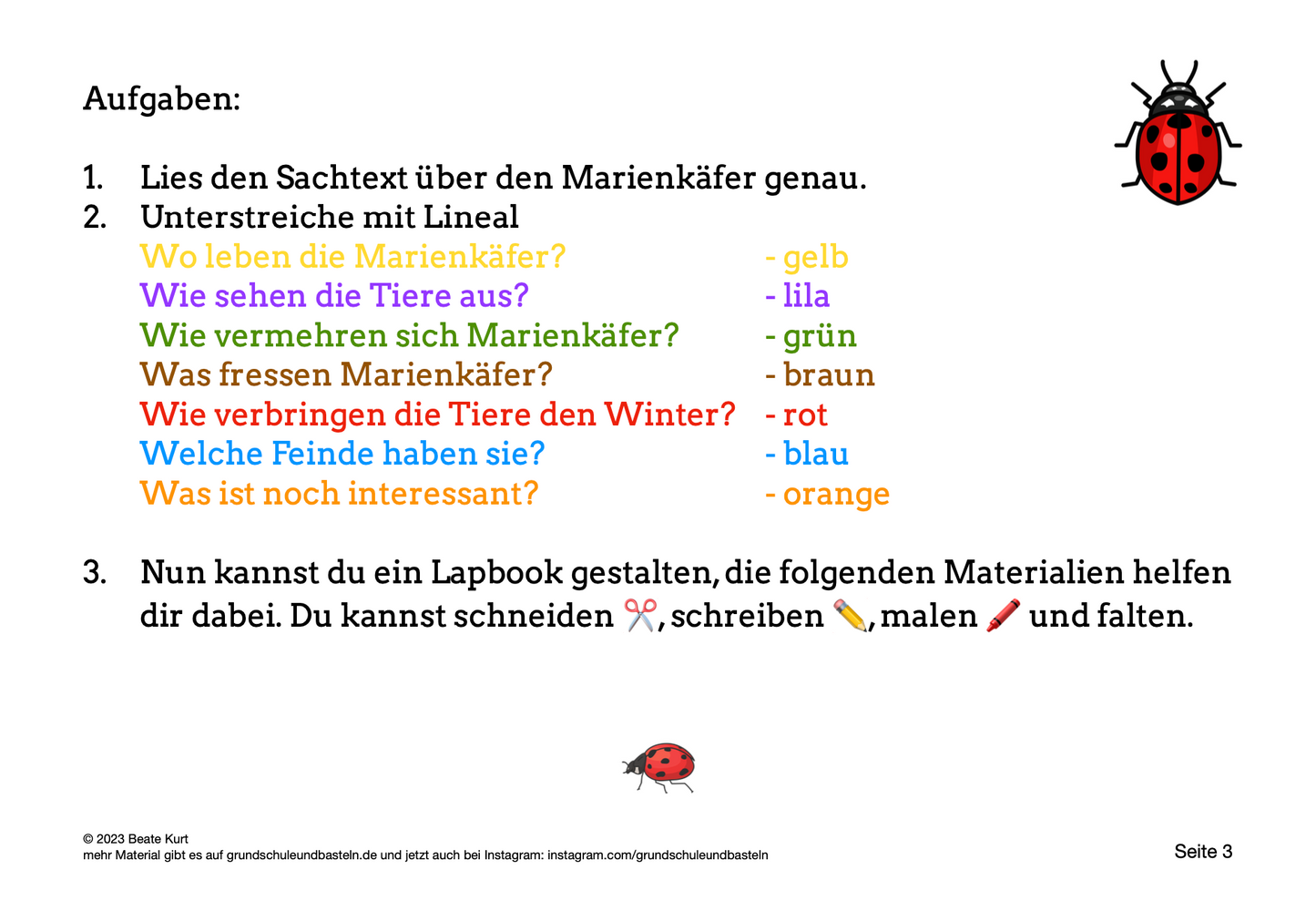 Lapbook: Marienkäfer