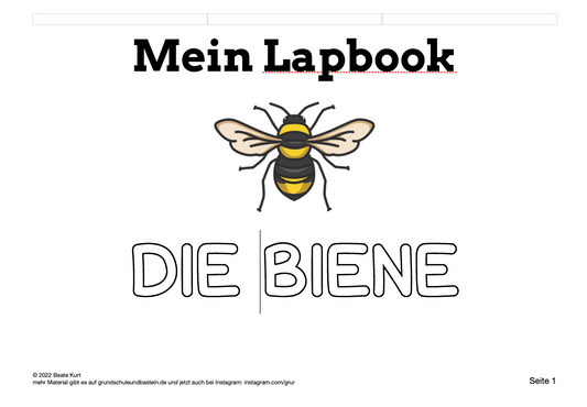 Lapbook: Biene