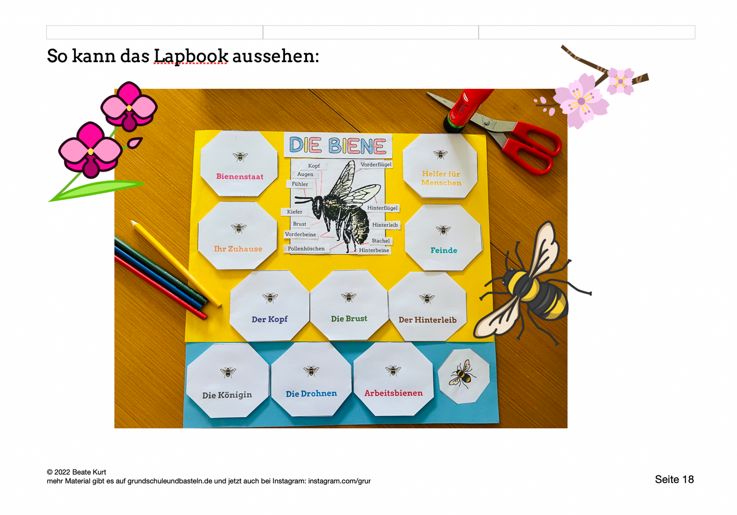 Lapbook: Biene