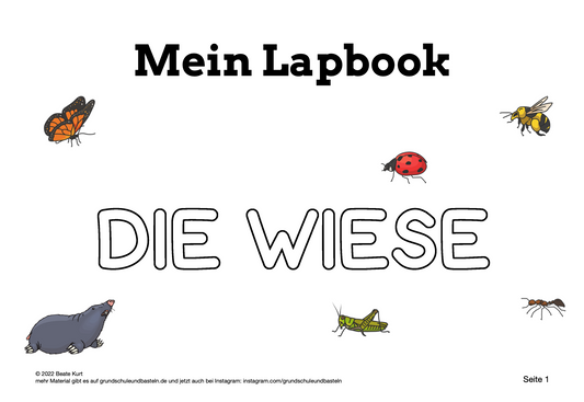 Lapbook: Wiese