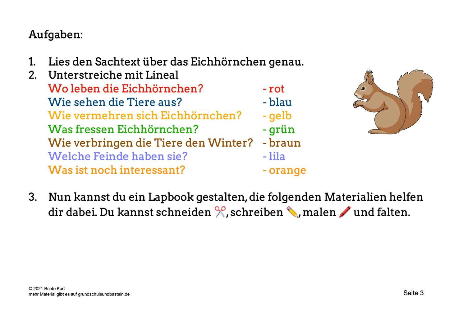 Lapbook: Eichhörnchen