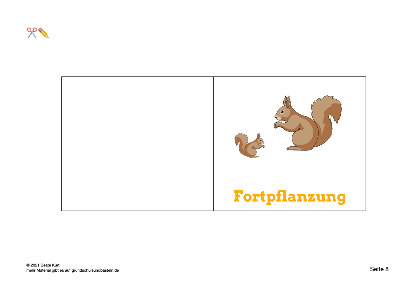 Lapbook: Eichhörnchen