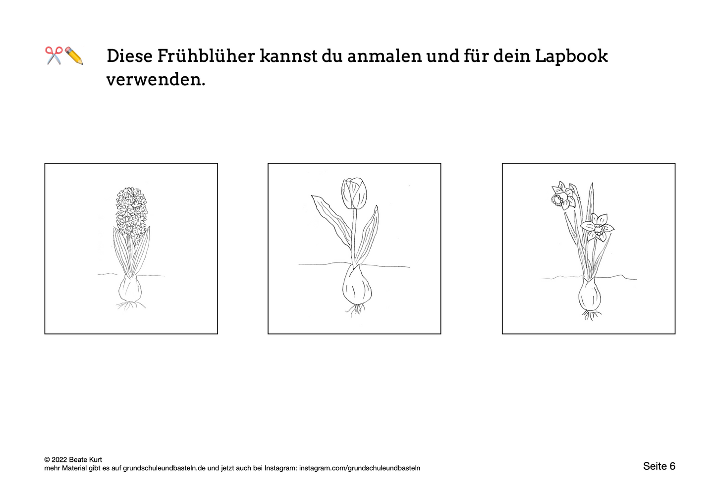 Lapbook: Frühblüher