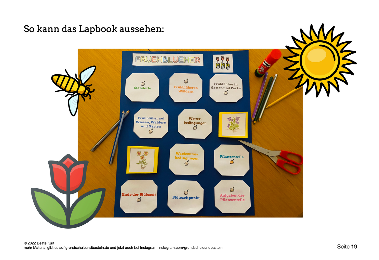 Lapbook: Frühblüher