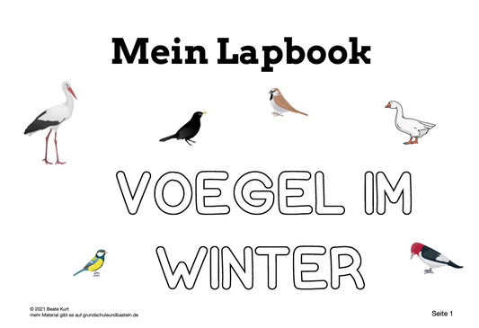 Lapbook: Vögel im Winter