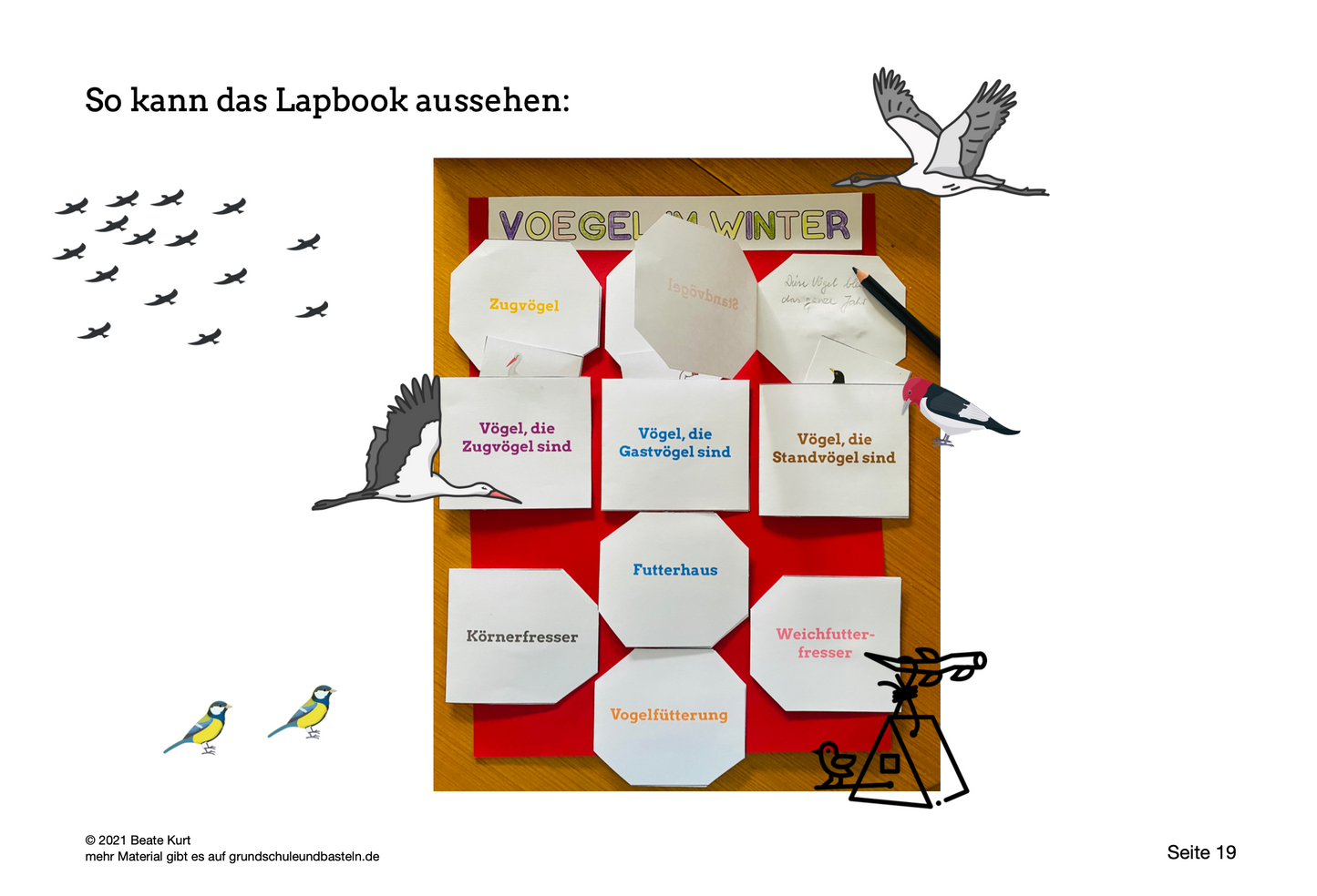 Lapbook: Vögel im Winter