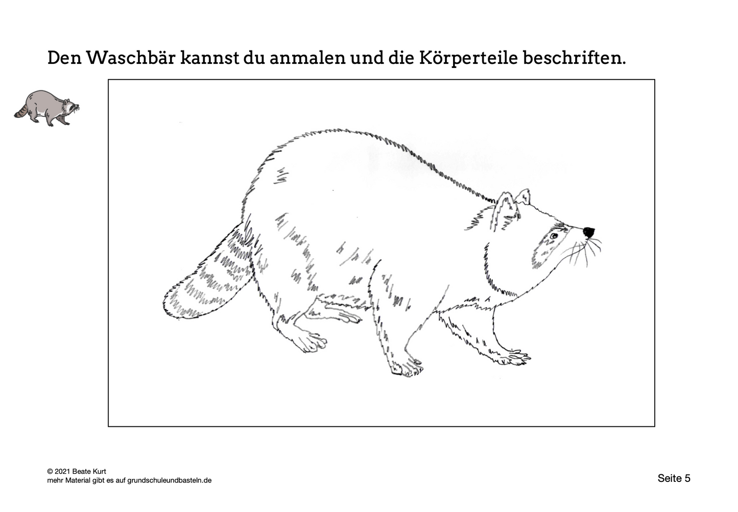 Lapbook: Waschbär