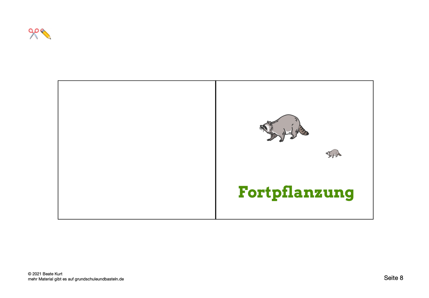 Lapbook: Waschbär