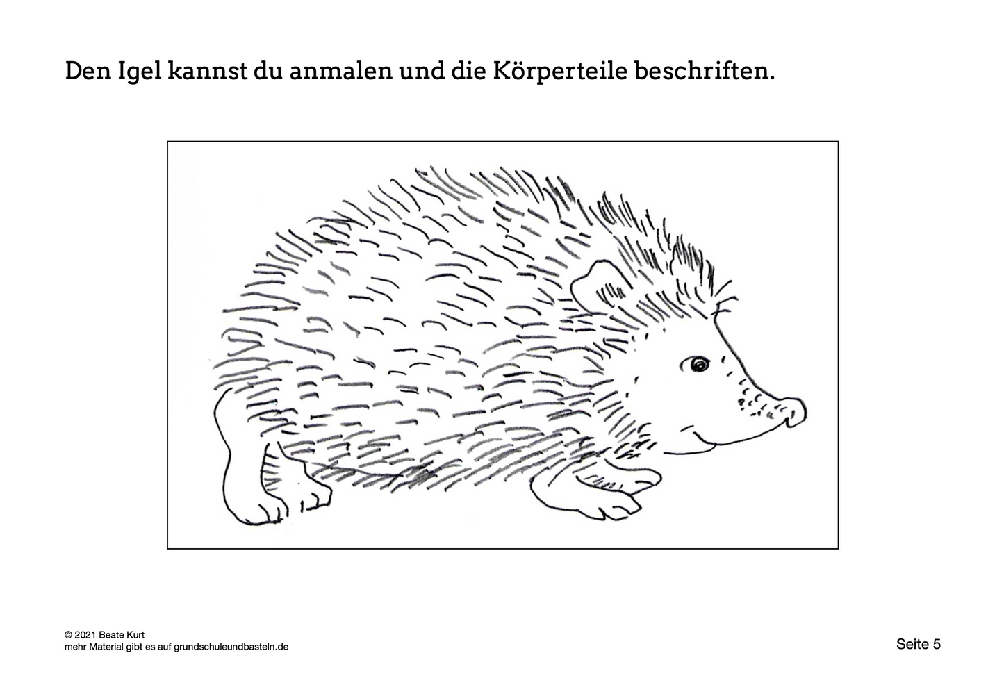 Lapbook: Igel