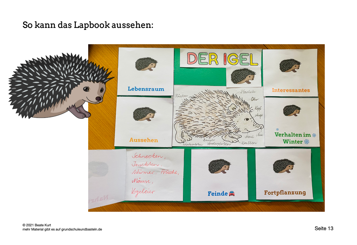 Lapbook: Igel