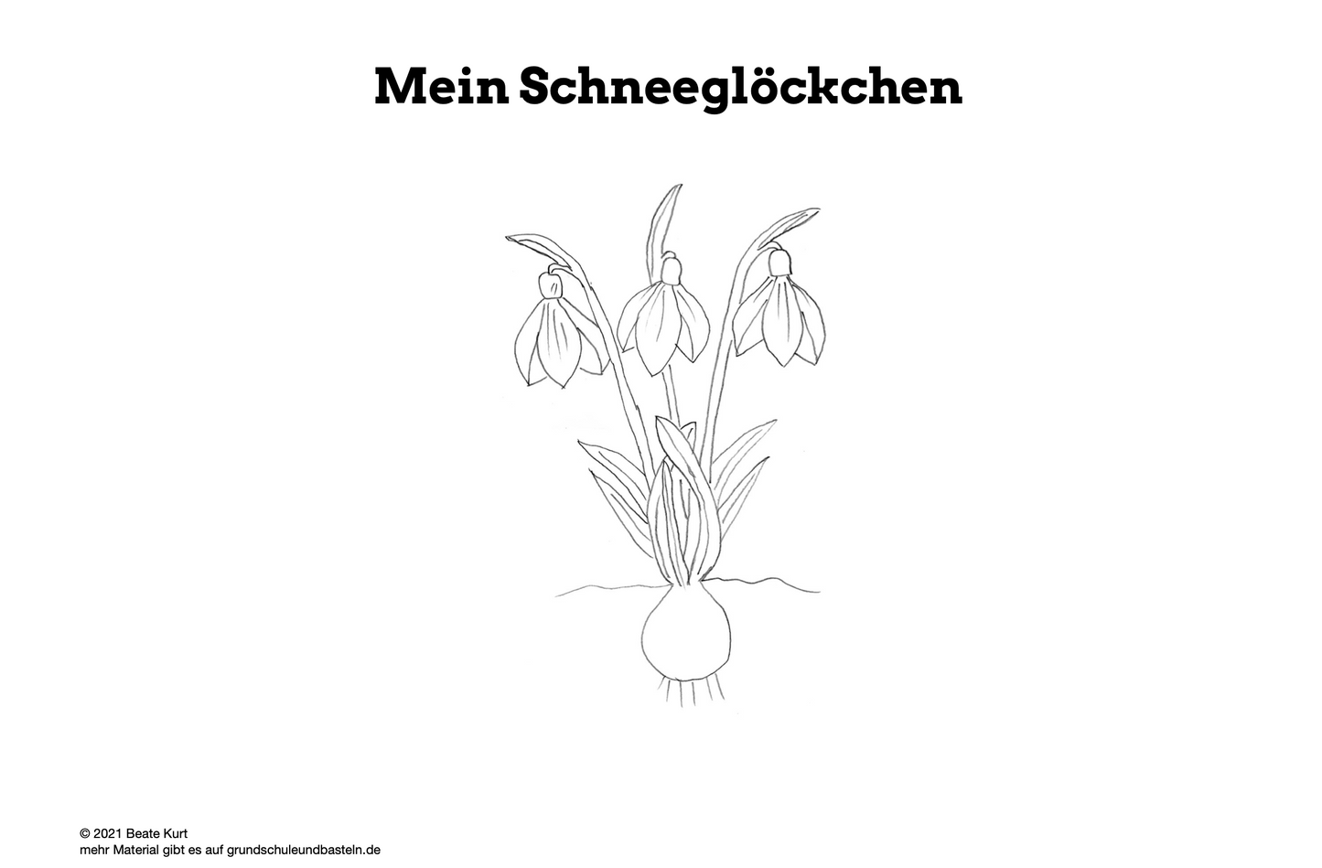 Lernheft: Frühlingsblumen