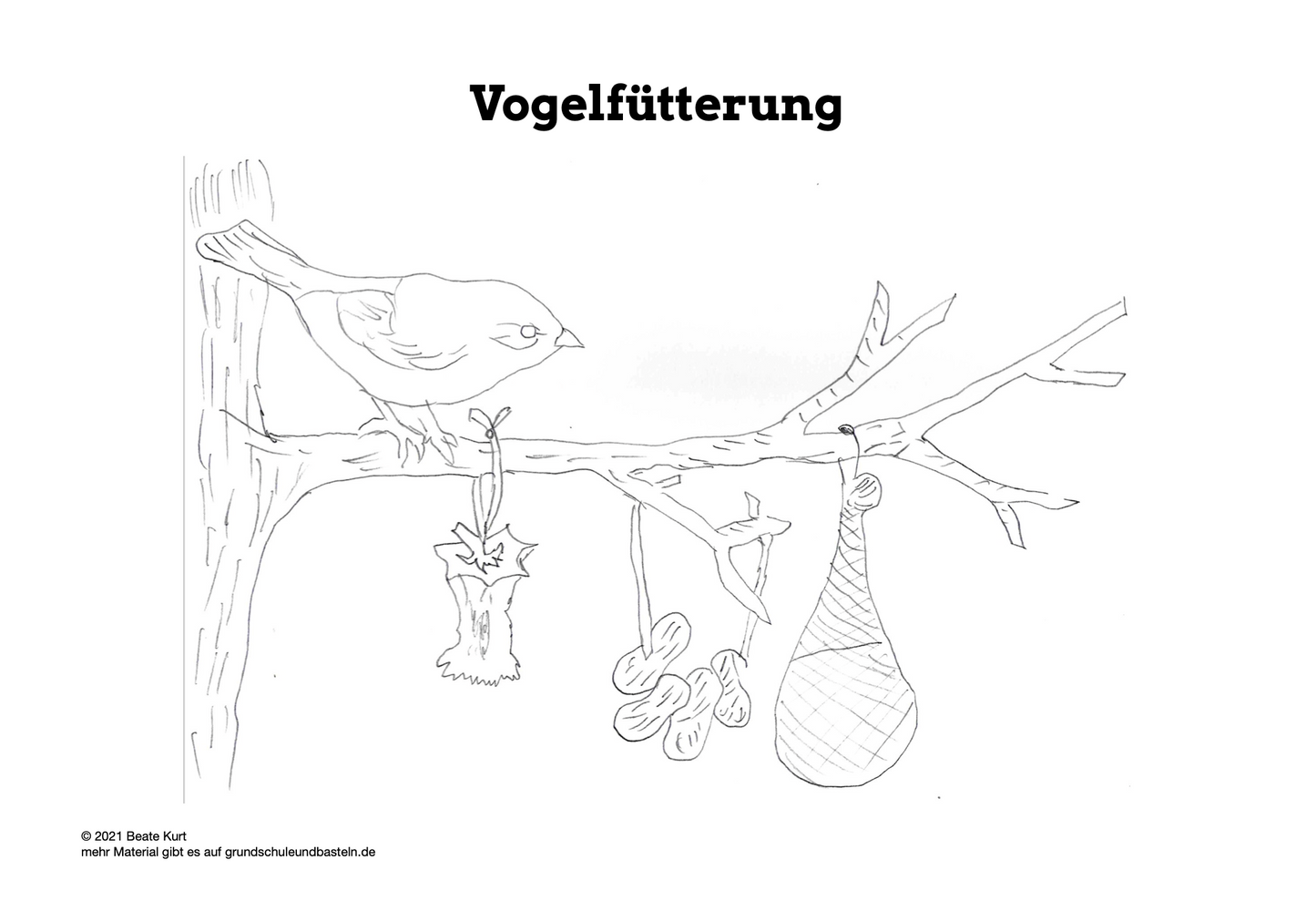 Lernheft: Vögel im Winter