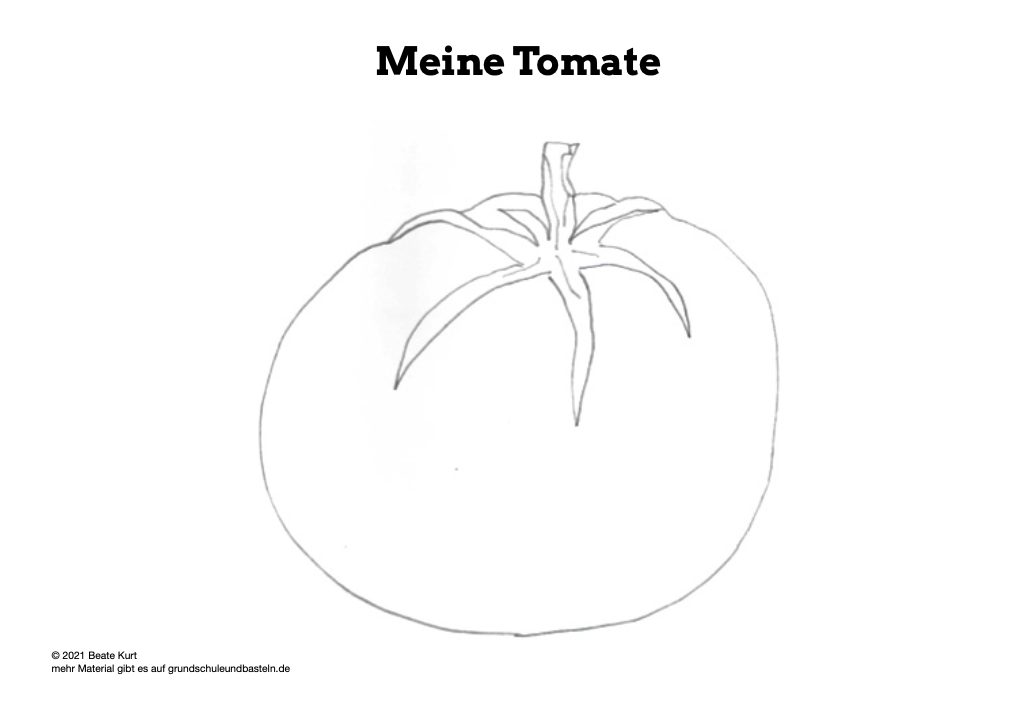 Lernheft: Obst und Gemüse