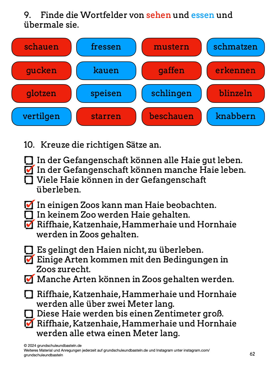 Hörverstehen: Haie