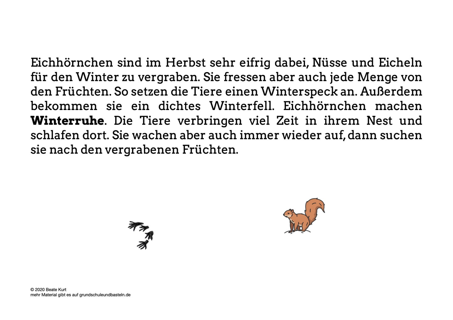 Lernheft: Tiere im Winter